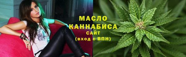 дживик Надым