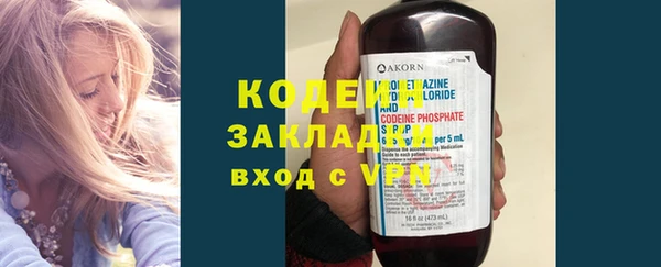 хмурый Нея
