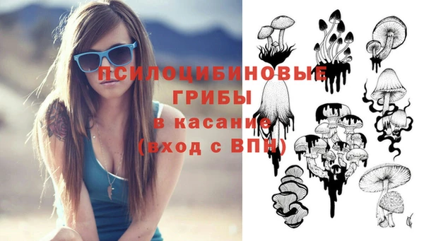 дживик Надым