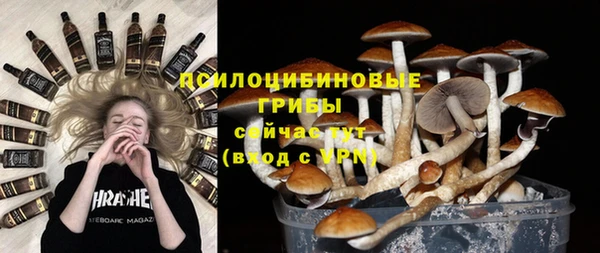 стаф Навашино