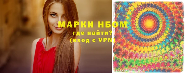 дживик Надым
