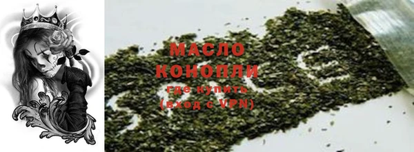 дживик Надым