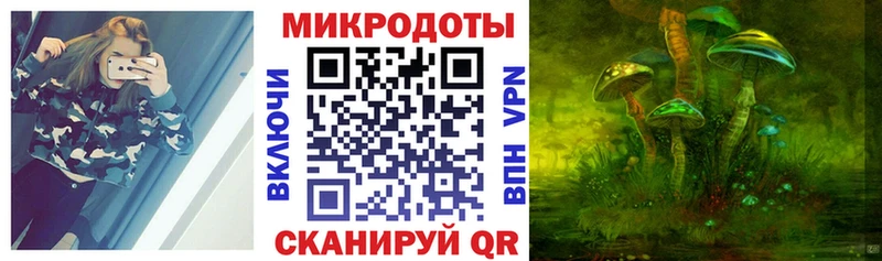 дарнет шоп  Медынь  Псилоцибиновые грибы Psilocybe 
